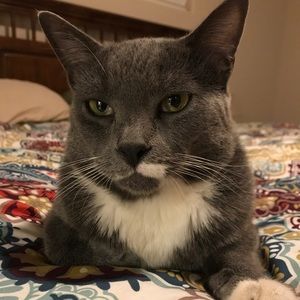 Meet your Posher, Hannah